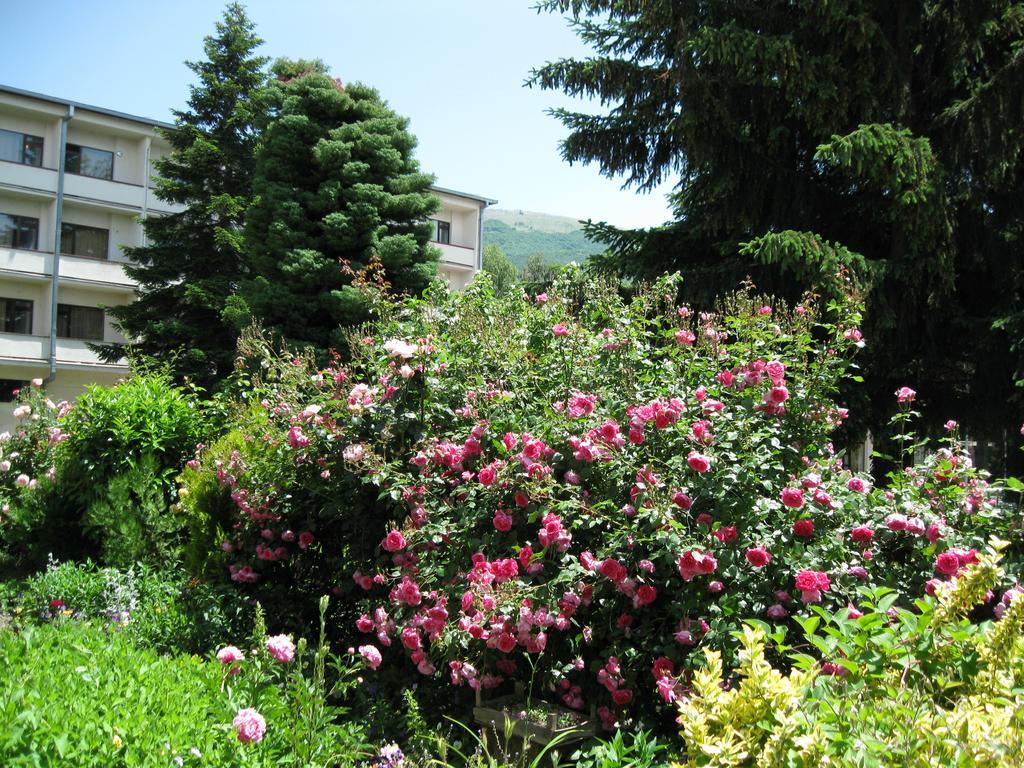 אוהריד Villa Jordan מראה חיצוני תמונה